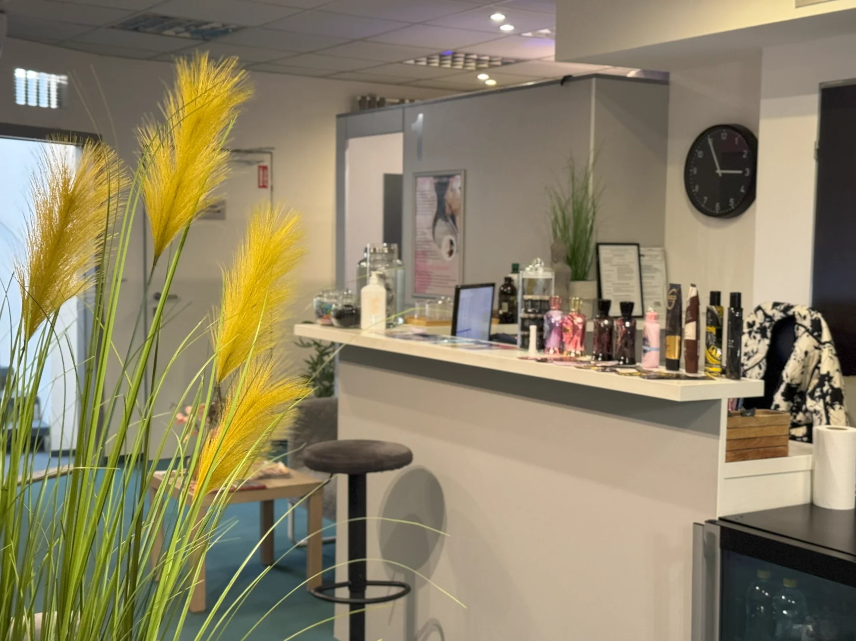 kam-zajit-olomouc-sun-wellness.webp